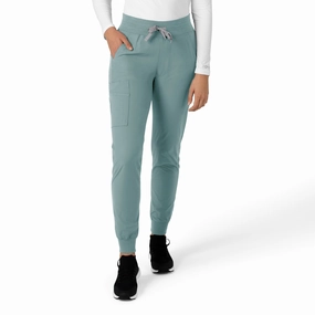 Hygienic Coating NonSlipGrip Carhartt Force Essentials Women's Jogger Scrub Pant - Summer Blue