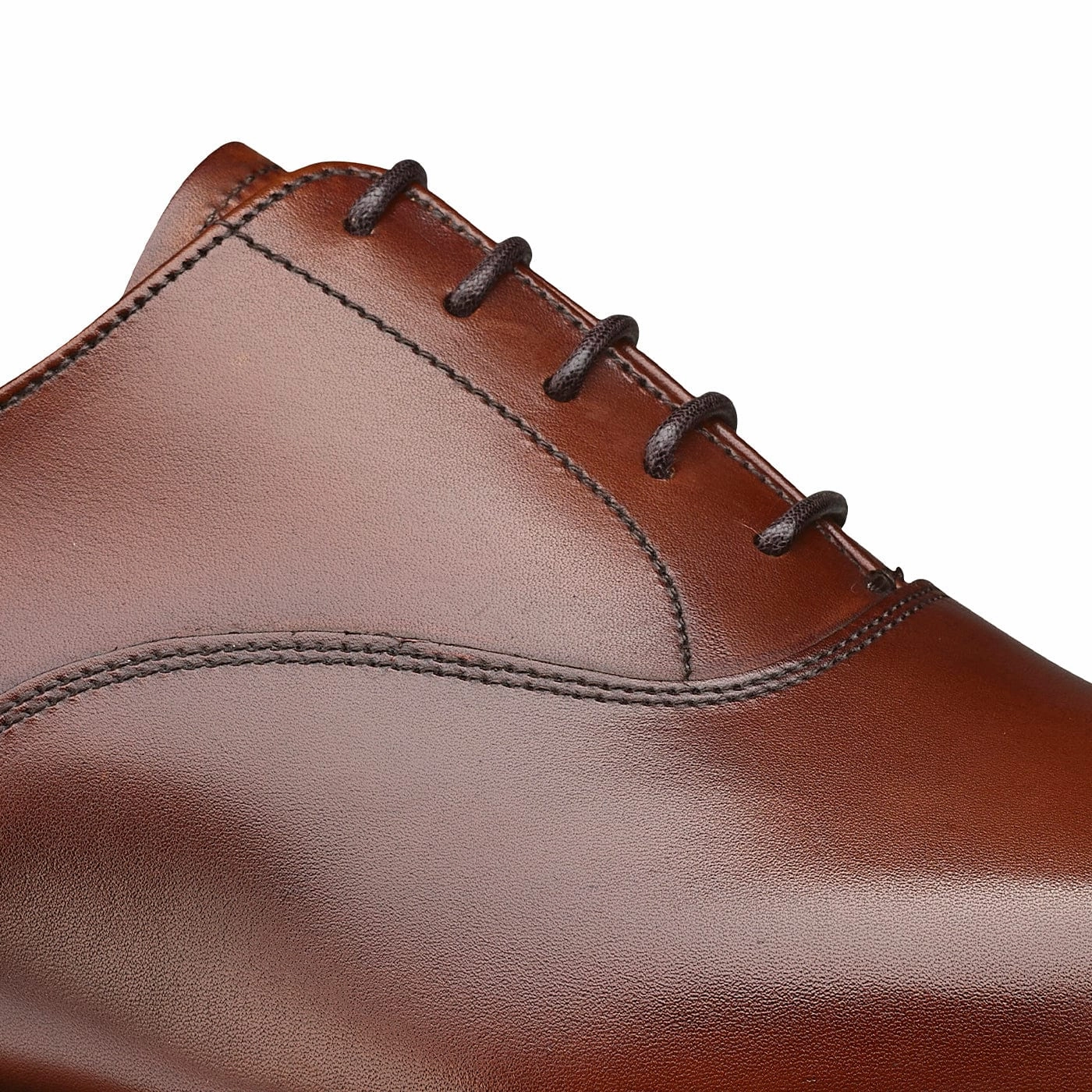 Dorset 2 Chestnut Burnished Calf Pointed Toe Oxfords