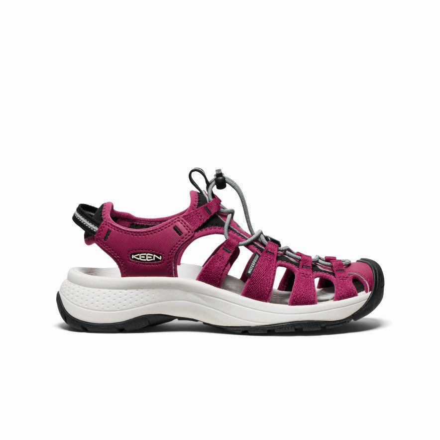 Women's Astoria West Sandal  |  Beaujolais/Star White Moisture Wicking Lining