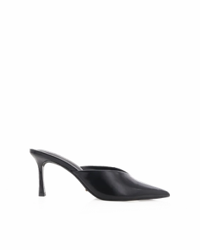 Graceful XANNON - JET SHINE